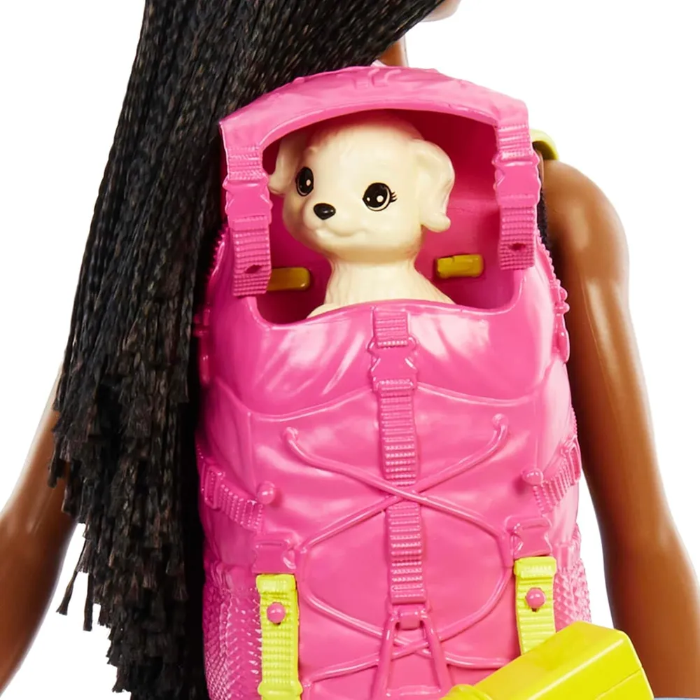 BARBIE MUÑECA BROOKLYN CAMPING CON CACHORRO