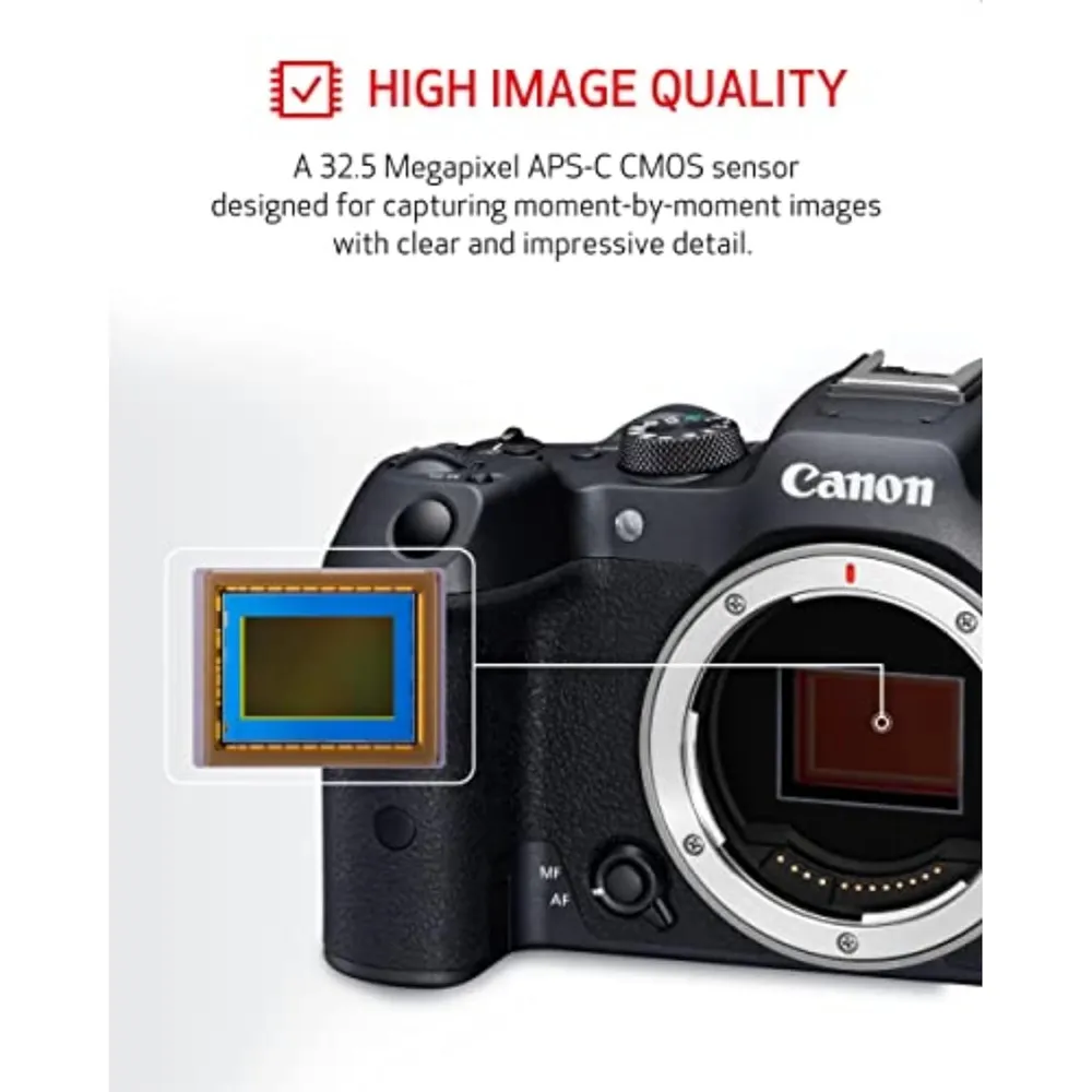 Canon cámara sin espejo EOS R7 hìbrida | Negro