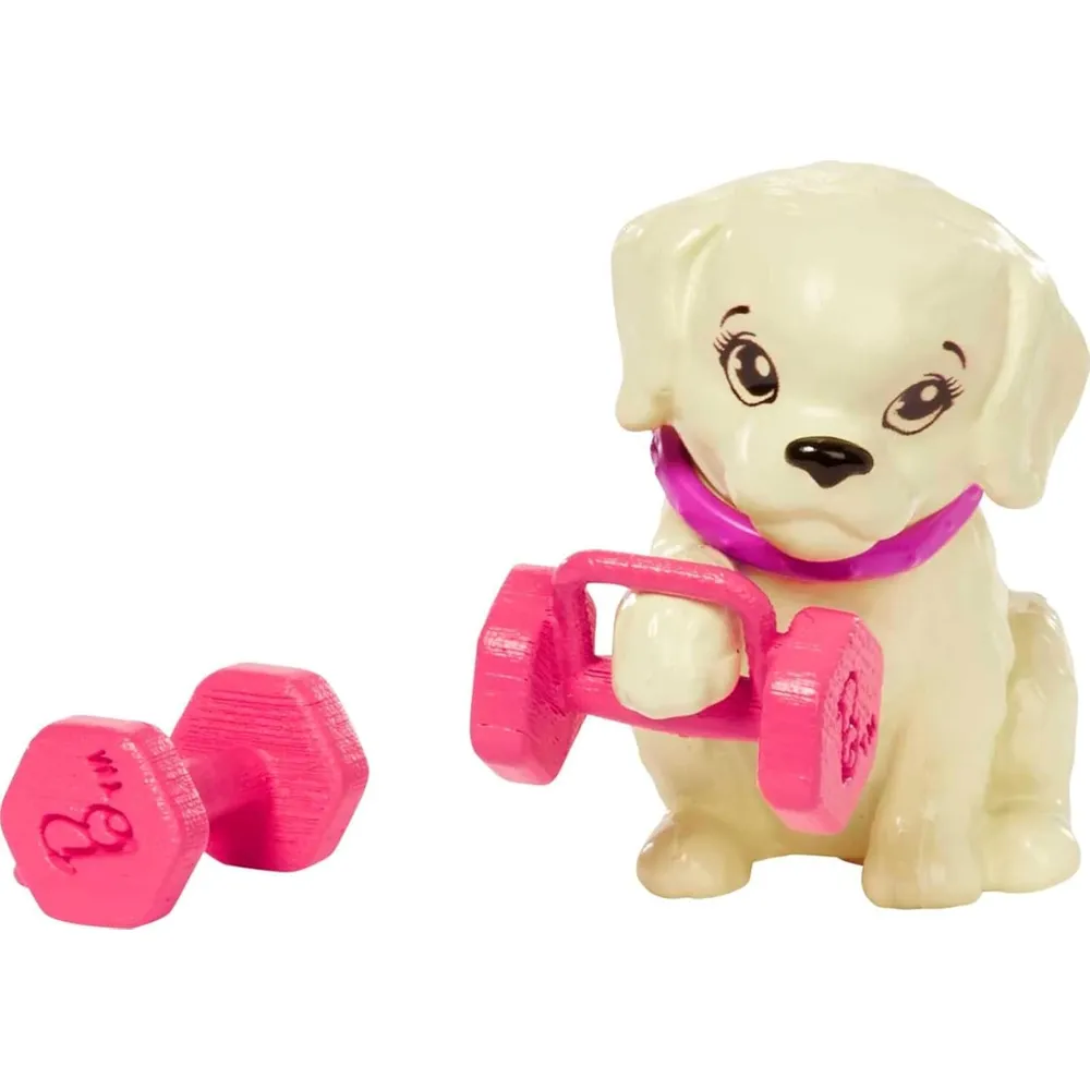 b0b627rvh6_3_webp.webp BARBIE MUÑECA MORENA CON CACHORRO SET EJERCICIO