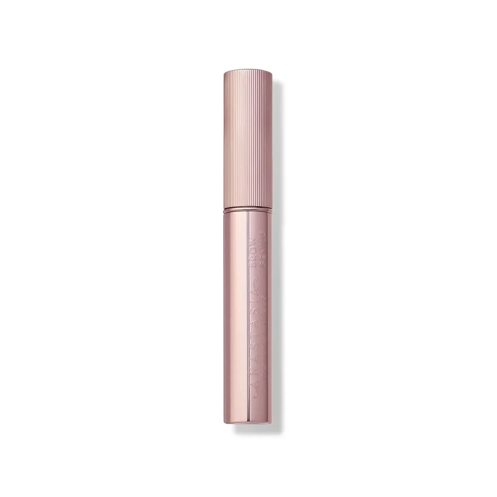 SET BROW GENIUS ANASTASIA