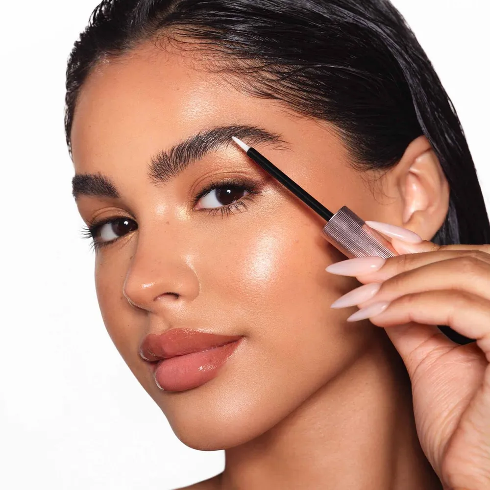 SET BROW GENIUS ANASTASIA