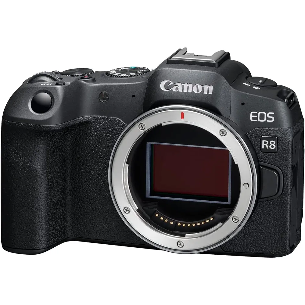 Canon cámara EOS R8 full frame | Negro