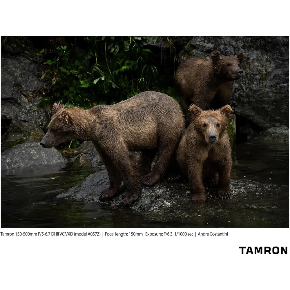 Tamron lente 15-50cm f/5-6.7 DI III VC | Negro