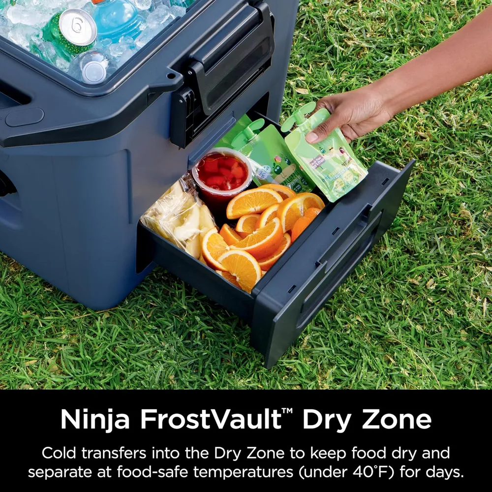Ninja enfriador duro FB131BL Frostvault, con cajón seco, alta resistencia, 30 qt / 28,4 L | Lakeshore Blue
