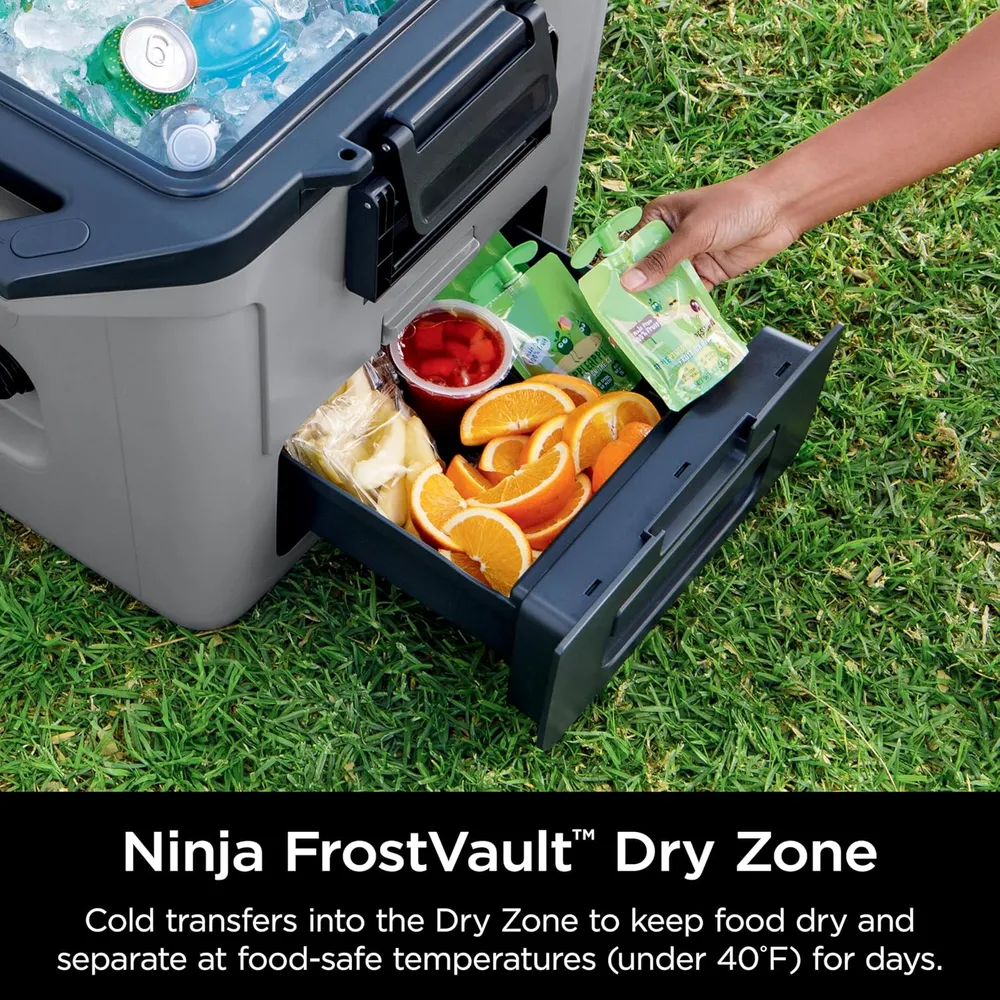 b0cv5nlpsy_2_webp.webp Ninja enfriador duro FB131GY Frostvault, con cajón seco, alta resistencia, 30 qt / 28,4 L | Gris