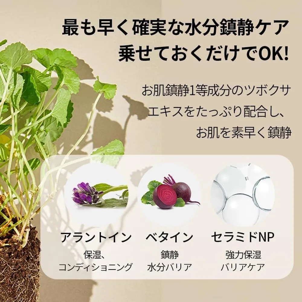 MIXSOON ALMOHADILLAS TONICAS CENTELLA ASIATICA 120 HOJAS
