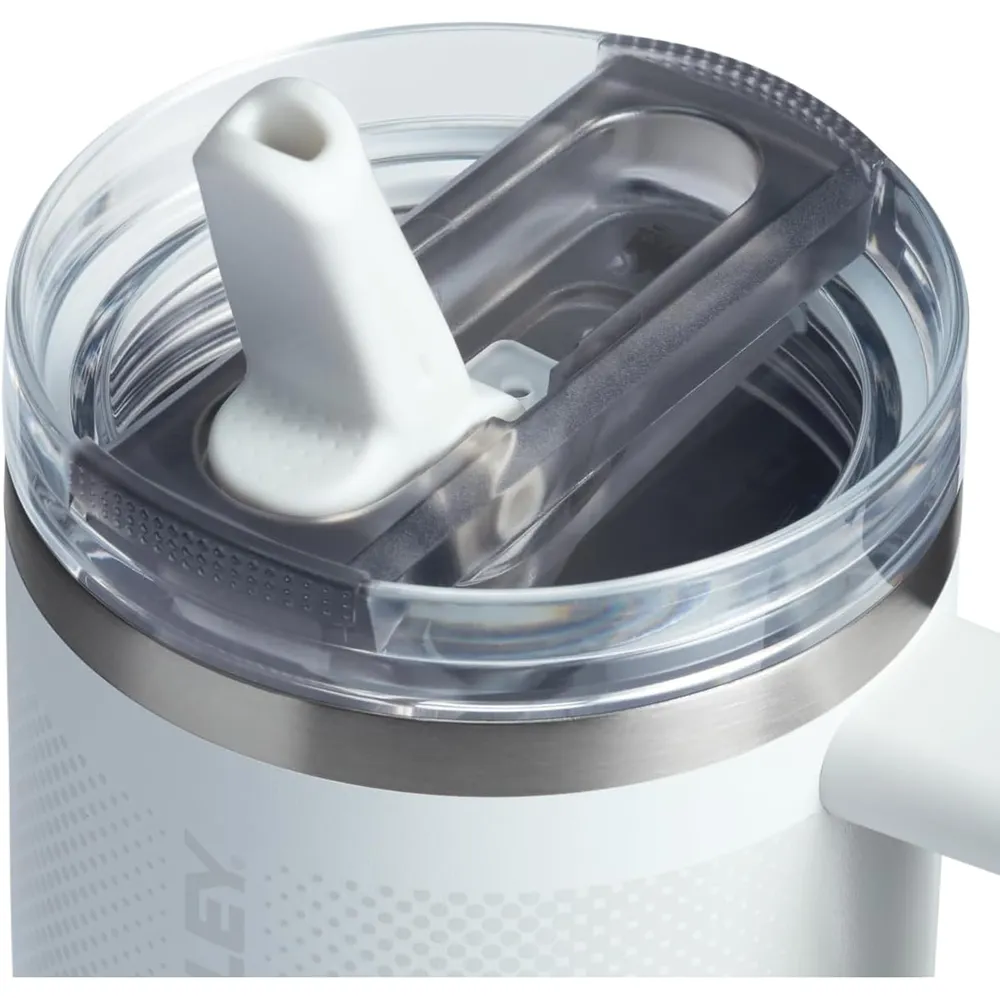 Stanley Quencher ProTour 20 oz