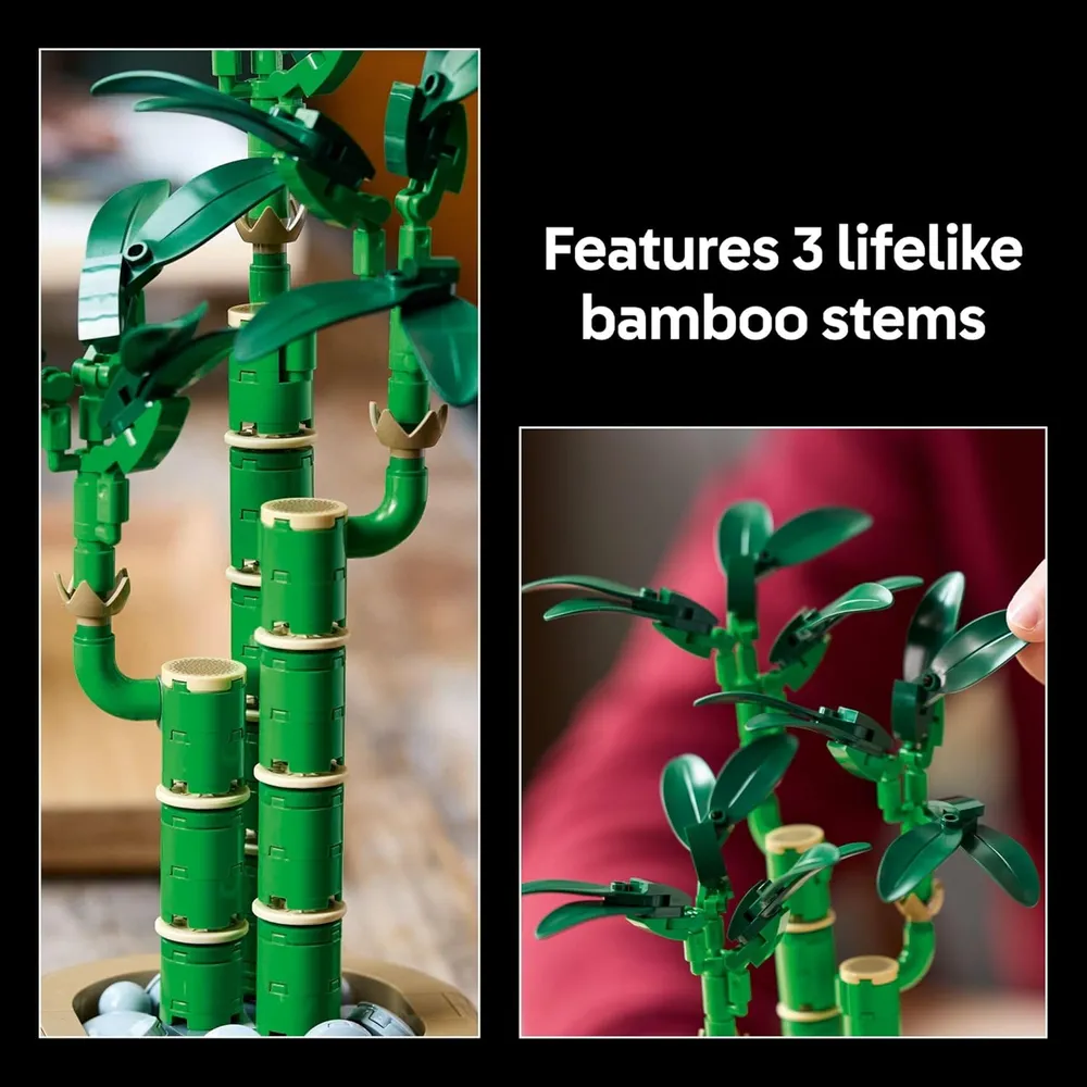 LEGO BOTANICALS BAMBÚ DE LA SUERTE