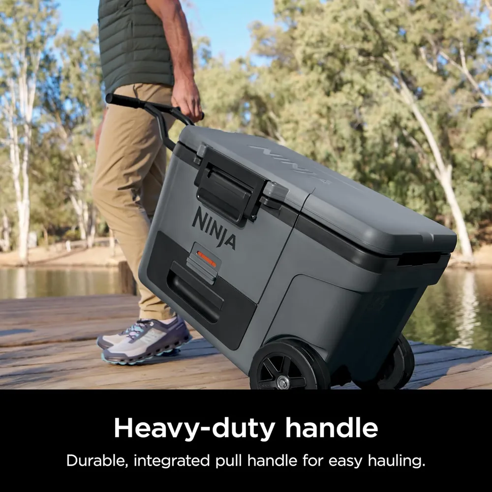 Ninja nevera portátil Frostvault FB245CG, con ruedas y cajón seco, 45 qt / 42,6 L | Gris