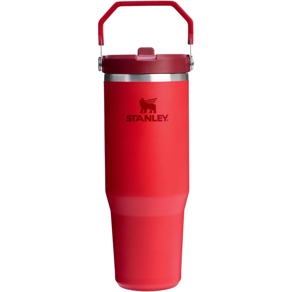 Stanley IceFlow 2.0 Flip Straw Tumbler 30 oz