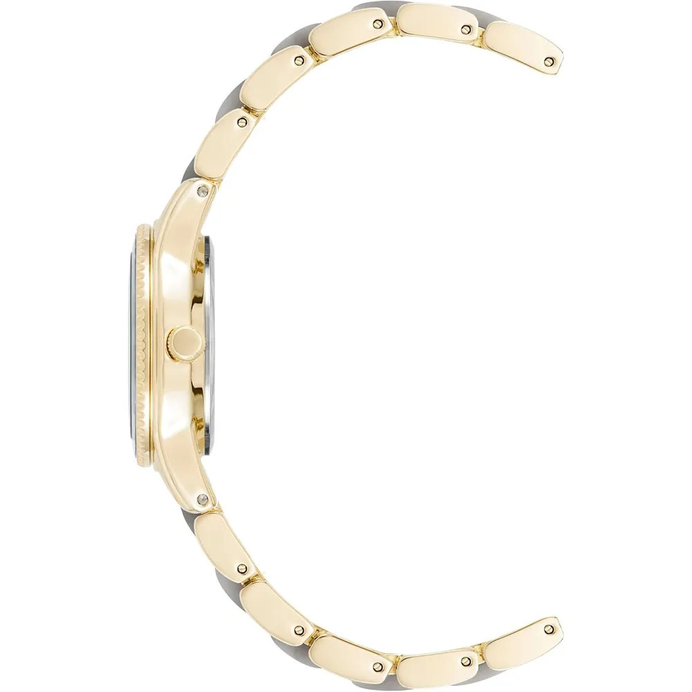 Anne klein AK/3212LPRG reloj de pulsera de resina | 30 mm - Gris Claro