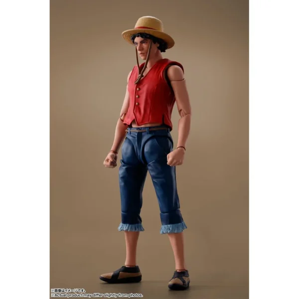 FIGURA MONKEY D LUFFY TAMASHII NATIONS