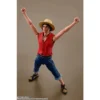 FIGURA MONKEY D LUFFY TAMASHII NATIONS