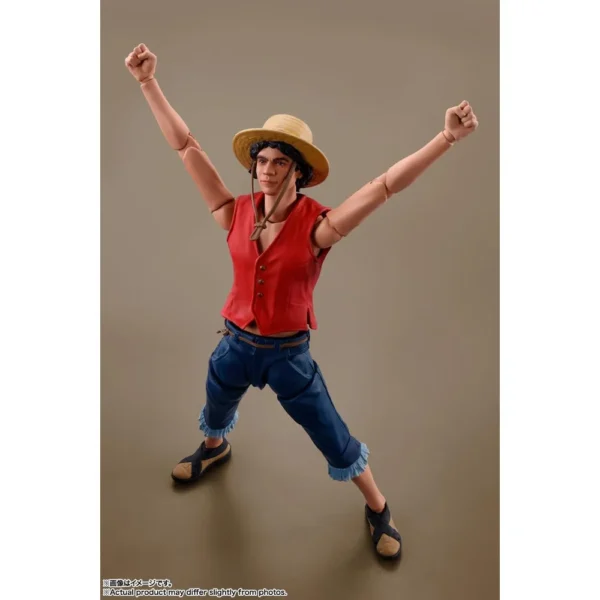 FIGURA MONKEY D LUFFY TAMASHII NATIONS