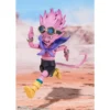 FIGURA BEELZEBUB TAMASHII NATIONS