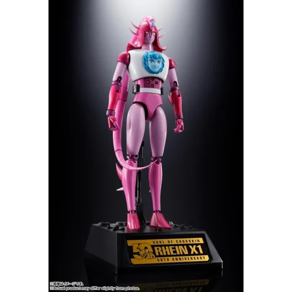 FIGURA RHEIN X1 AND DIANAN A CHOGOKIN TAMASHII NATIONS