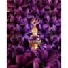 b0cxf72dz8_4_webp.webp PERFUME KHADLAJ PURPLE MUSK CPO MUJER 0.7 OZ / 20 ML