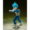 FIGURA SSGSS VEGETA TAMASHII NATIONS