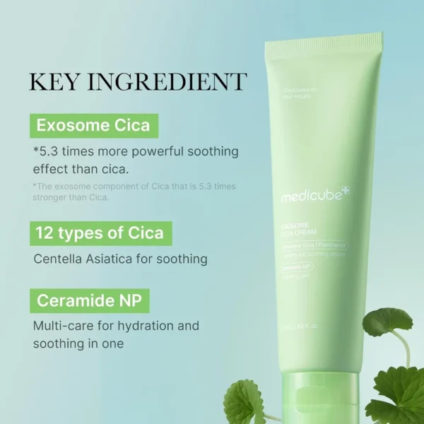 CREMA MEDICUBE EXOSOME CICA TEA TREE CREAM 1.7 OZ / 50 ML
