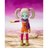 b0ftdn951d_1_webp.webp FIGURA PANZY DAIMA DRAGON BALL TAMASHII NATIONS