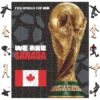 ROMPECABEZAS FIFA CANADA 200 PCS