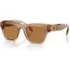 SWAROVSKI LENTES DE SOL SK6056U 50 MM MUJER | TRANSPARENT BEIGE/BRONZE