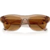 SWAROVSKI LENTES DE SOL SK6056U 50 MM MUJER | TRANSPARENT BEIGE/BRONZE