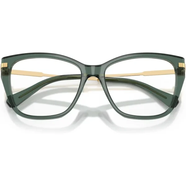 SWAROVSKI MONTURA SK2060 53 MM MUJER | TRANSPARENT LIGHT GREEN/DEMO LENS
