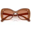 SWAROVSKI LENTES DE SOL MARIPOSA SK6062U 51 MM MUJER | TRANSPARENT BROWN/GRADIENT BROWN
