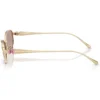 SWAROVSKI MONTURA SK7042 55 MM MUJER | PALE GOLD/PINK/LIGHT PURPLE BROWN