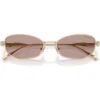 SWAROVSKI MONTURA SK7042 55 MM MUJER | PALE GOLD/PINK/LIGHT PURPLE BROWN