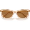 SWAROVSKI MONTURA SK6057 56 MM MUJER | TRANSPARENT BEIGE/BRONZE