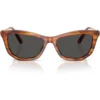 SWAROVSKI MONTURA SK6057 56 MM MUJER | STRIPED HAVANA/DARK GREY
