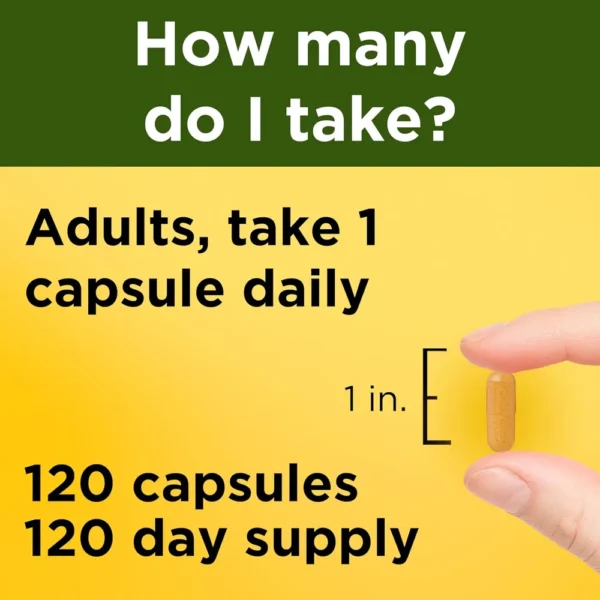NATURE MADE CÚRCUMA 500 MG | 120 UND