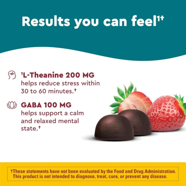 b09sr84773_2_webp.webp NATURE MADE WELLBLENDS STRESS RELIEF | 40 UND