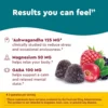 b0bx7gs31b_2_webp.webp NATURE MADE WELLBLENDS CALM MIND & BODY | 38 UND