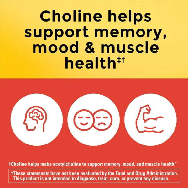 NATURE MADE COLINA 800 MG | 60 UND