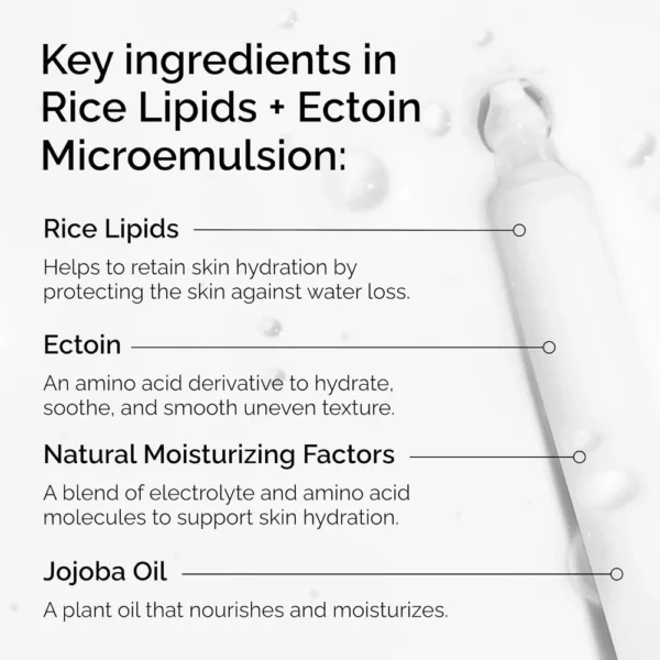 THE ORDINARY CREMA HIDRATANTE LIPIDOS DE ARROZ ECTOINA | 3.4 OZ / 100 ML