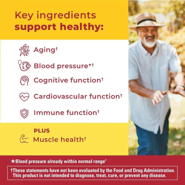 b0ghcj89ww_2_webp.webp NATURE MADE PACK 2 MULTIVITAMÍNICO HOMBRE 50+ ADVANCED | 84 UND C/U