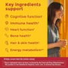 b0ghdlqkl6_2_webp.webp NATURE MADE PACK 2 MULTIVITAMÍNICO MUJER ADVANCED | 90 UND C/U