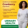 NATURE MADE ARÁNDANO + VITAMINA C | 50 UND