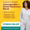 NATURE MADE ASHWAGANDHA KSM-66 + REISHI | 60 UND