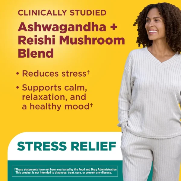 NATURE MADE ASHWAGANDHA KSM-66 + REISHI | 60 UND