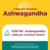 NATURE MADE ASHWAGANDHA KSM-66 + REISHI | 60 UND