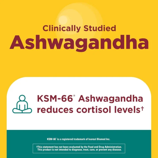 NATURE MADE ASHWAGANDHA KSM-66 + REISHI | 60 UND