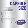BETA-ALANINA NOW SPORTS 750 MG 120 CÁPSULAS