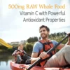 b00280m120_2.webp VITAMINA C GARDEN OF LIFE VITAMIN CODE RAW 500 MG 60 CÁPSULAS