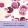 MULTIVITAMÍNICO GARDEN OF LIFE VITAMIN CODE RAW PRENATAL 90 CÁPSULAS