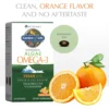 OMEGA 3 DHA VEGANO GARDEN OF LIFE MINAMI ALGAE 500 MG NARANJA 60 CÁPSULAS