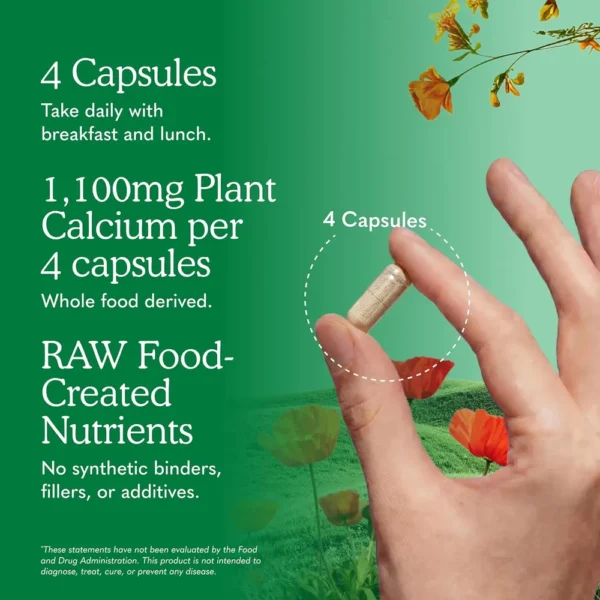 CALCIO GARDEN OF LIFE VITAMIN CODE RAW CON MAGNESIO + D3 + K2 120 CÁPSULAS